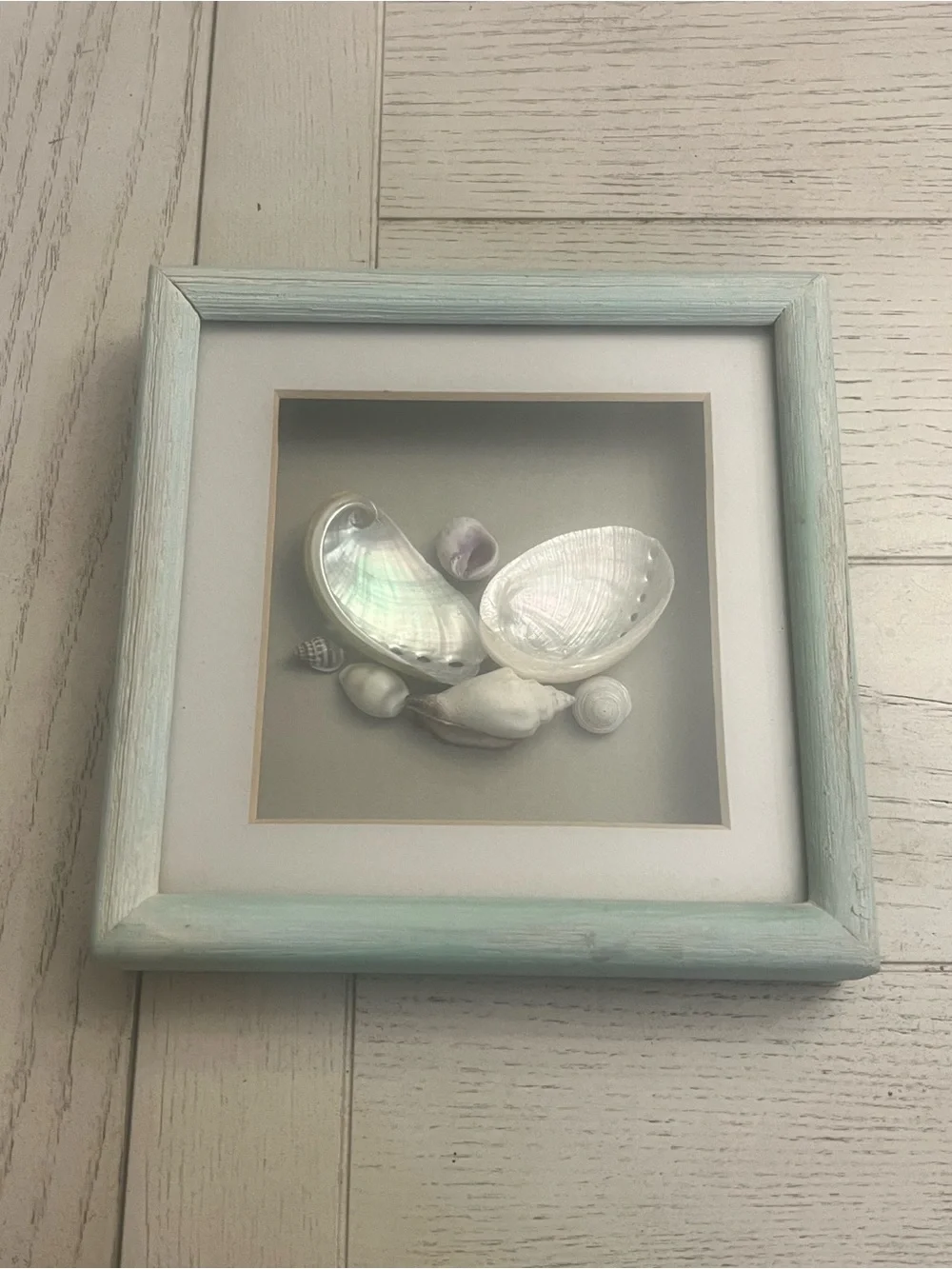 Coastal Seashell Shadow Box Wall Art in Distressed Aqua Blue Frame - 7”x7”